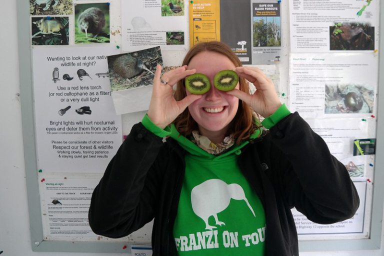 trounson_forest_park_kiwi_watching