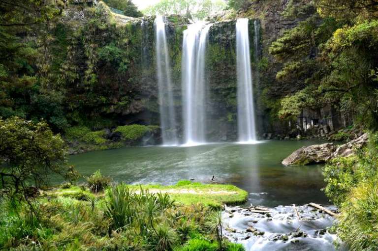 Whangarei Falls Neuseeland