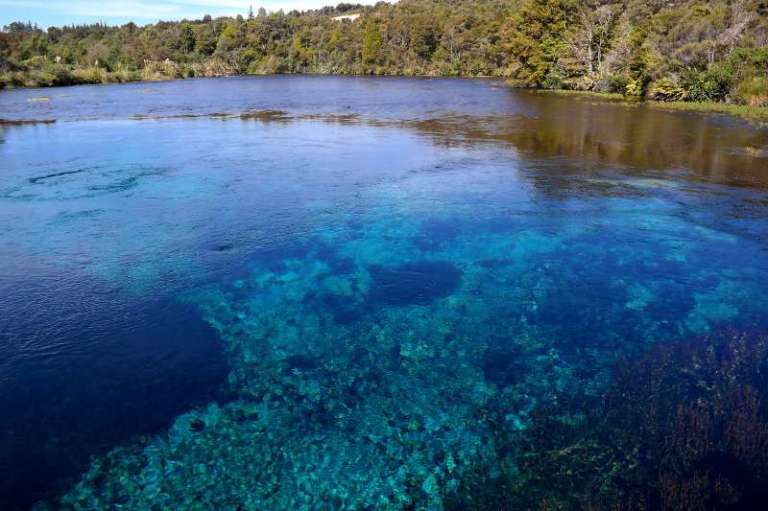 Pupu Springs Neuseeland