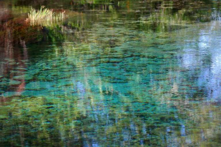 Pupu Springs Neuseeland