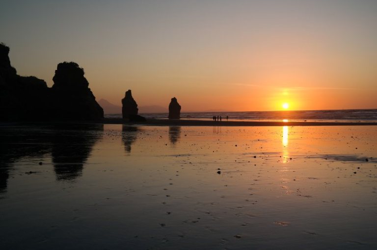 Tree Sisters Westcoast Neuseeland