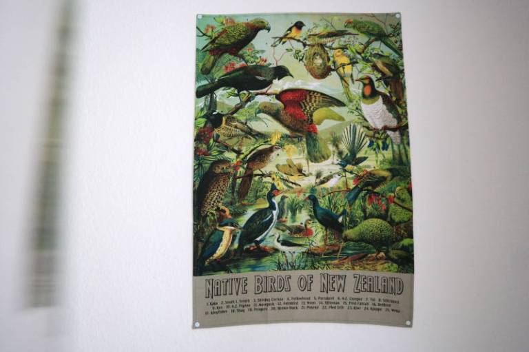 Geschirrtuch Birds of New Zealand