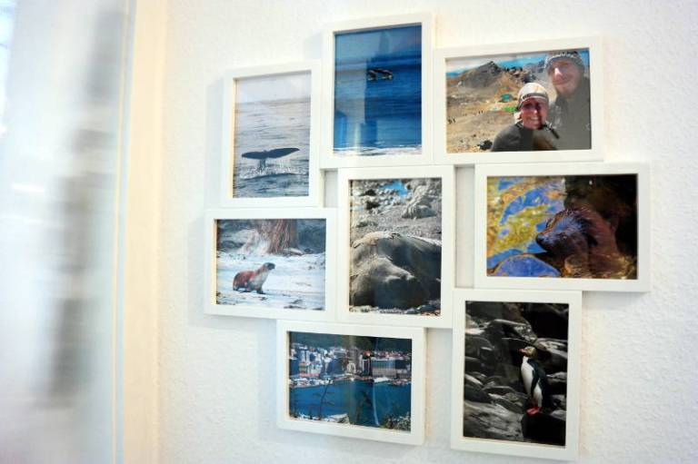 Bilder Neuseeland Bilder Tiere Neuseeland