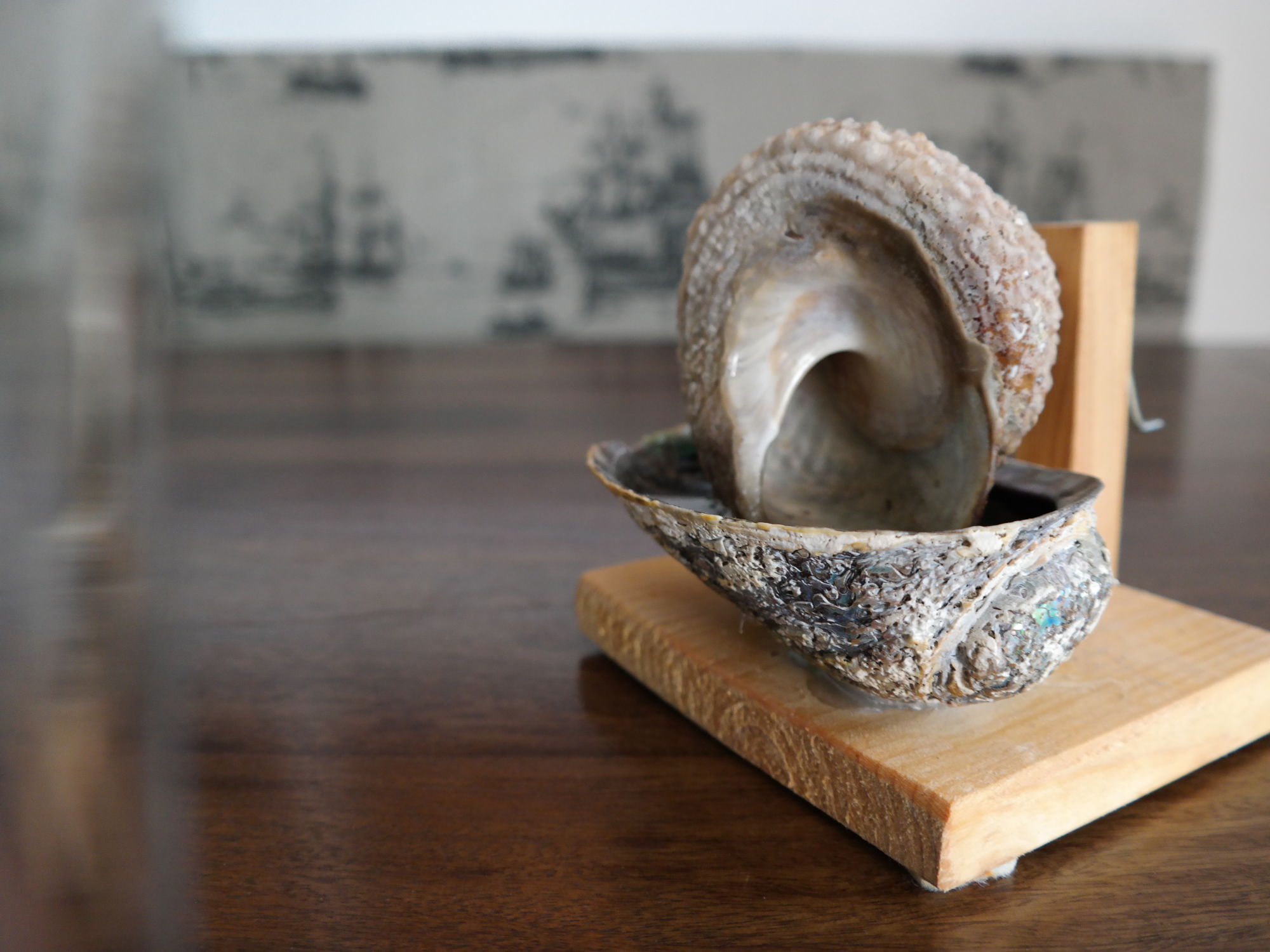 Ungewoehnliches Souvenir Neuseeland