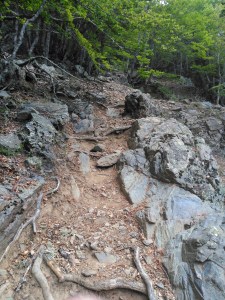 Wanderweg auf den San Petrone
