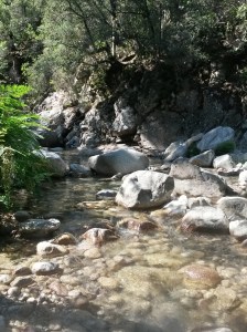 Klarer Fluss auf Korsika