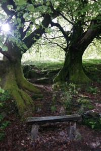Snowdonia Nationalpark