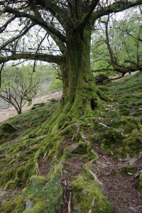 Snowdonia Nationalpark