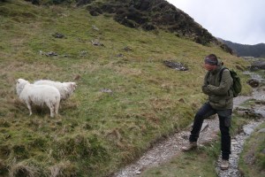 Wenn zwei sich streiten ...