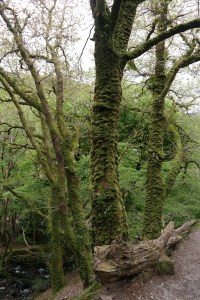 Snowdonia Nationalpark