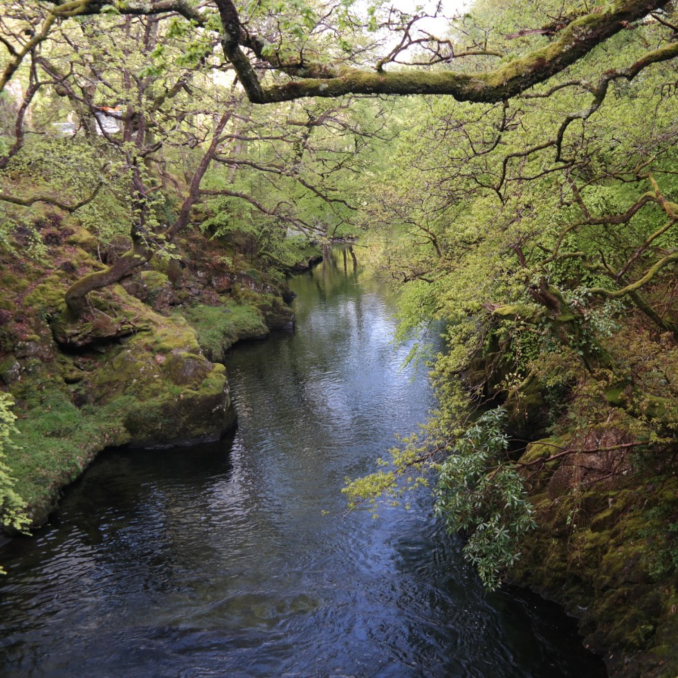 Klein-Neuseeland in Europa: Wales