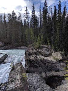 Yoho Nationalpark: Natural Bridge
