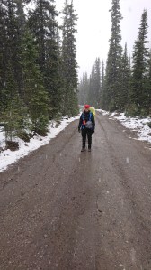 Auf der Wanderung zur Elizabeth Parker Hut: Schnee!