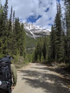 Rückweg von Lake O'Hara