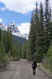 Rückweg von Lake O'Hara